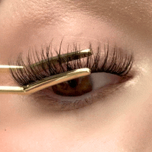 ÉTAPE 3 : Presse avec la pince